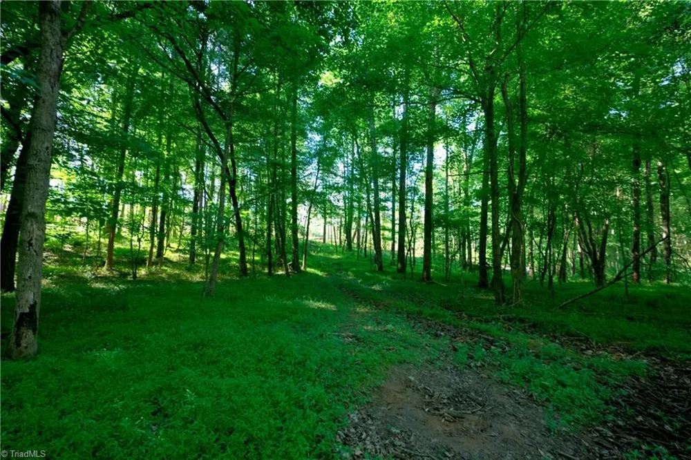 0 Carson Road Cleveland, NC 27013
