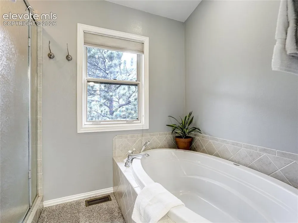 4660 Hagerman Avenue Cascade, CO 80809