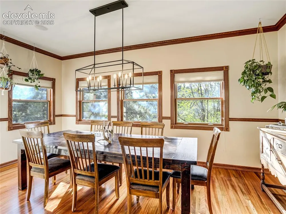 4660 Hagerman Avenue Cascade, CO 80809