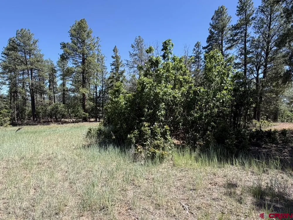 281 Alder Place Pagosa Springs, CO 81147