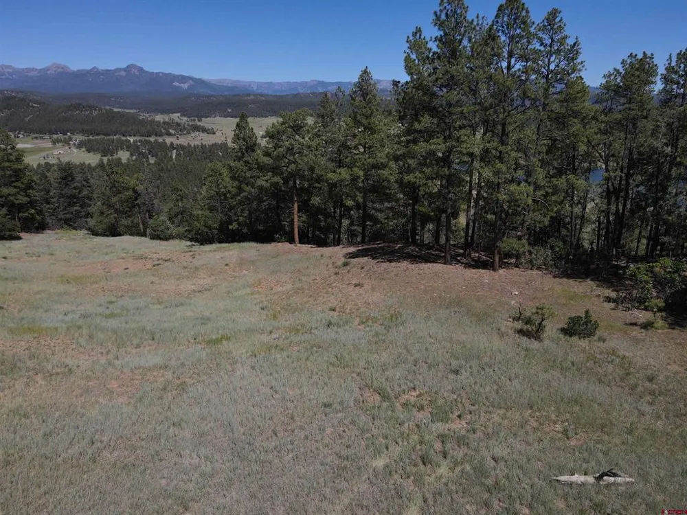 281 Alder Place Pagosa Springs, CO 81147