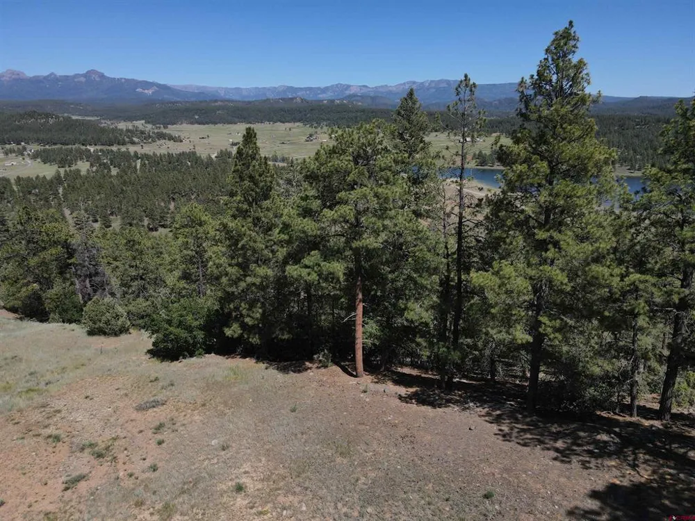 281 Alder Place Pagosa Springs, CO 81147