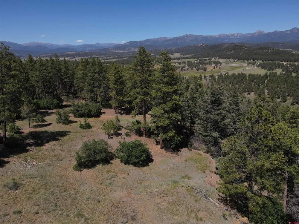 281 Alder Place Pagosa Springs, CO 81147