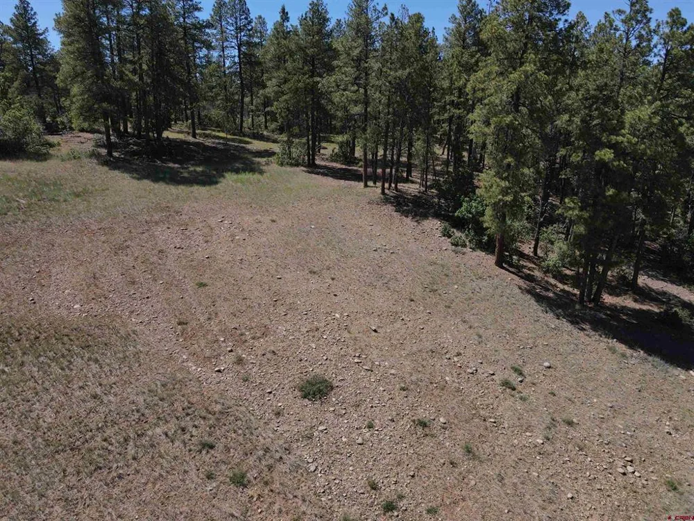 281 Alder Place Pagosa Springs, CO 81147