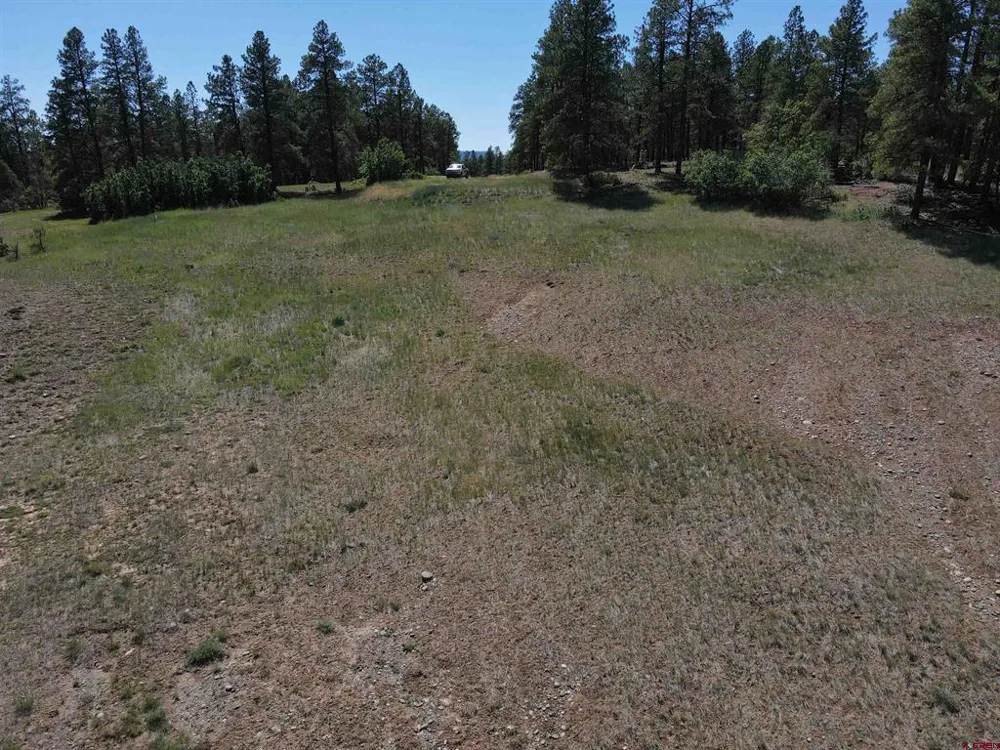 281 Alder Place Pagosa Springs, CO 81147