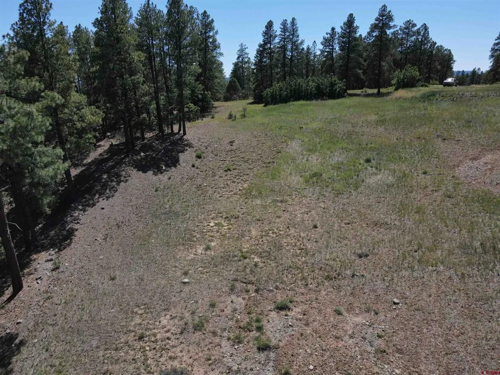 281 Alder Place Pagosa Springs, CO 81147