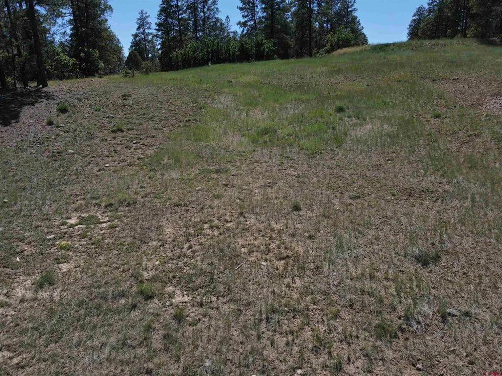 281 Alder Place Pagosa Springs, CO 81147