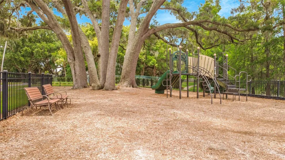 19512 SPRING OAK DRIVE Eustis, FL 32736