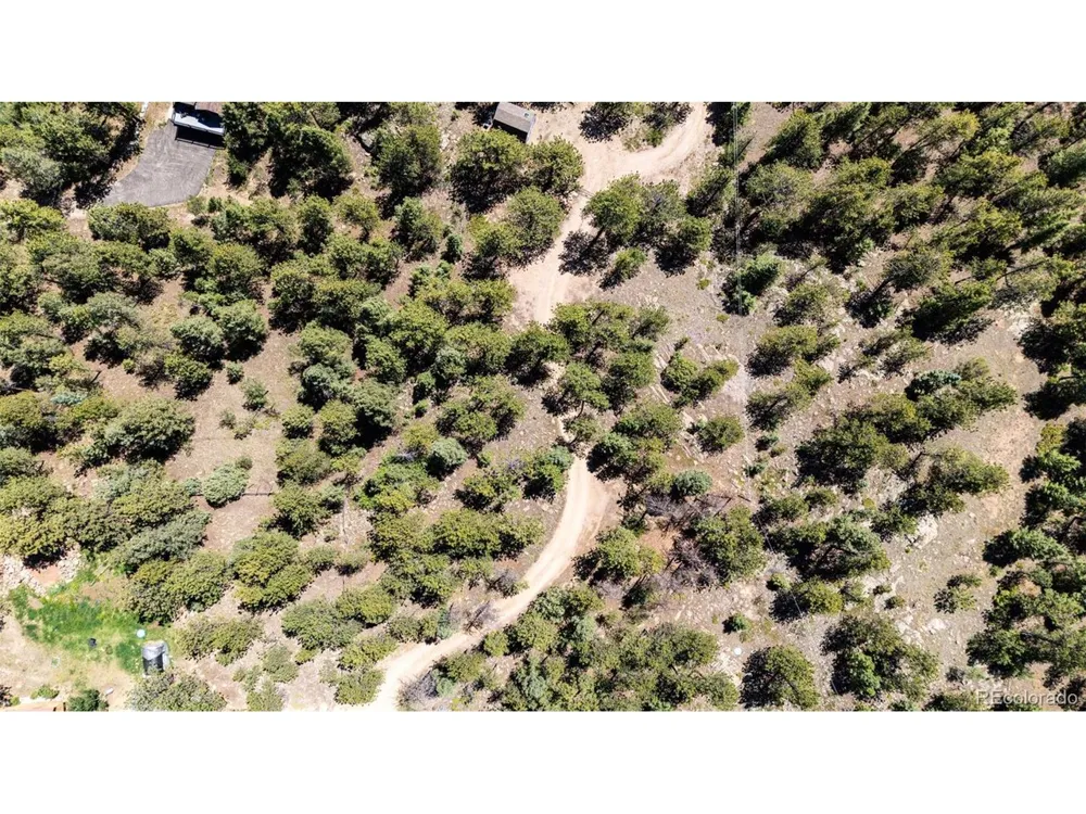 S Wandcrest Drive Pine, CO 80470