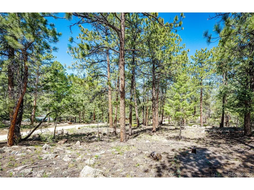 S Wandcrest Drive Pine, CO 80470