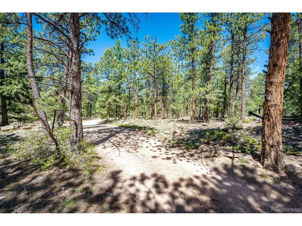 S Wandcrest Drive Pine, CO 80470