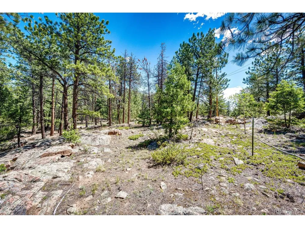 S Wandcrest Drive Pine, CO 80470