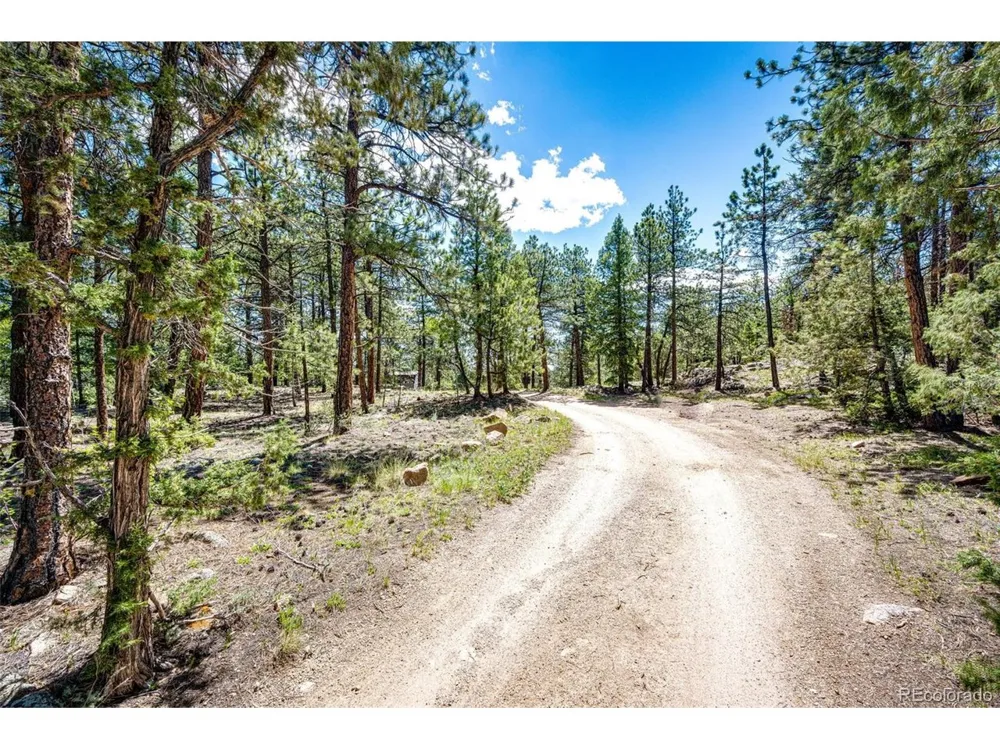 S Wandcrest Drive Pine, CO 80470
