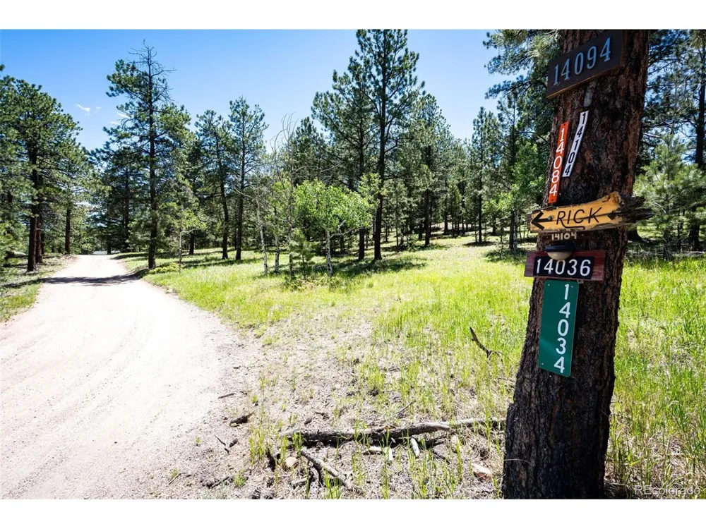 S Wandcrest Drive Pine, CO 80470