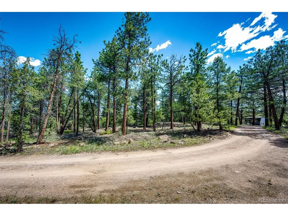 S Wandcrest Drive Pine, CO 80470