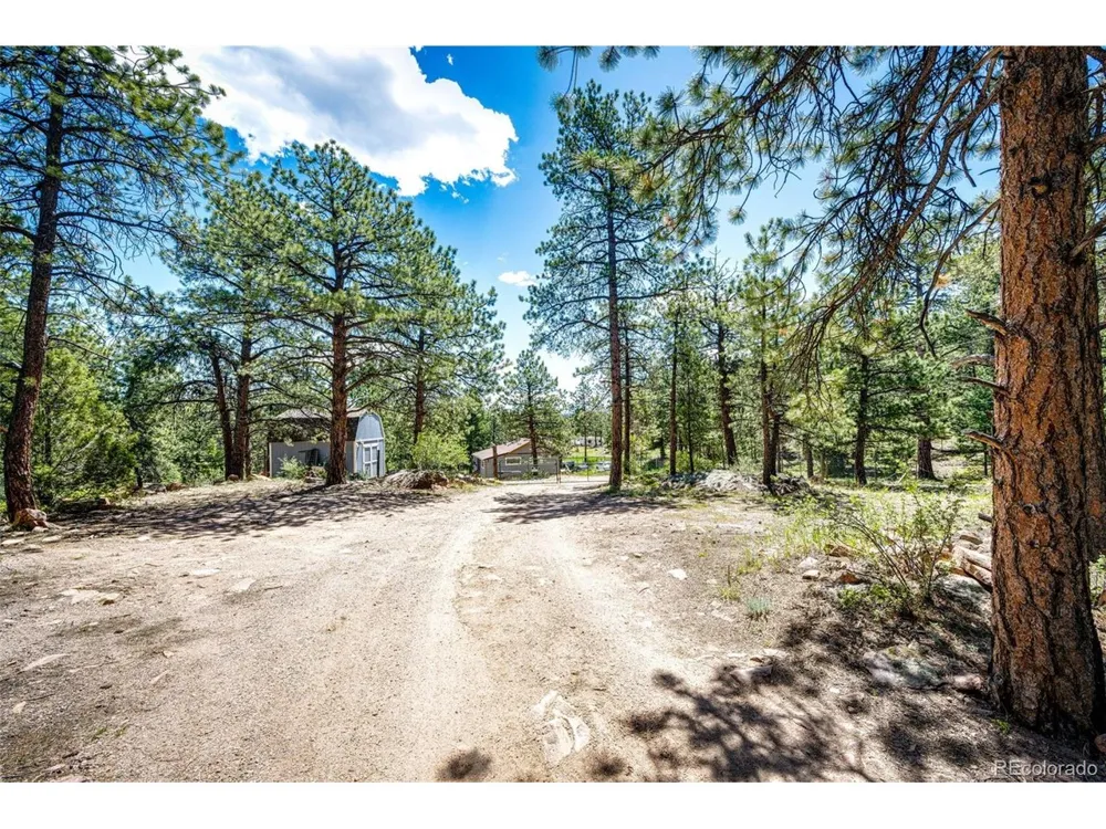 S Wandcrest Drive Pine, CO 80470