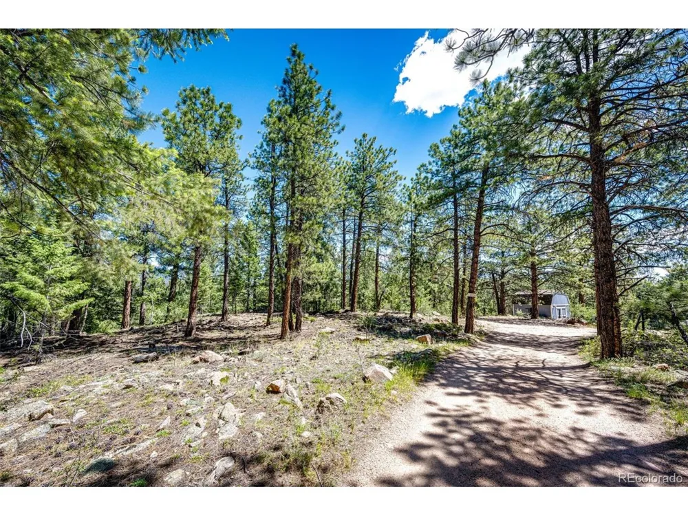 S Wandcrest Drive Pine, CO 80470