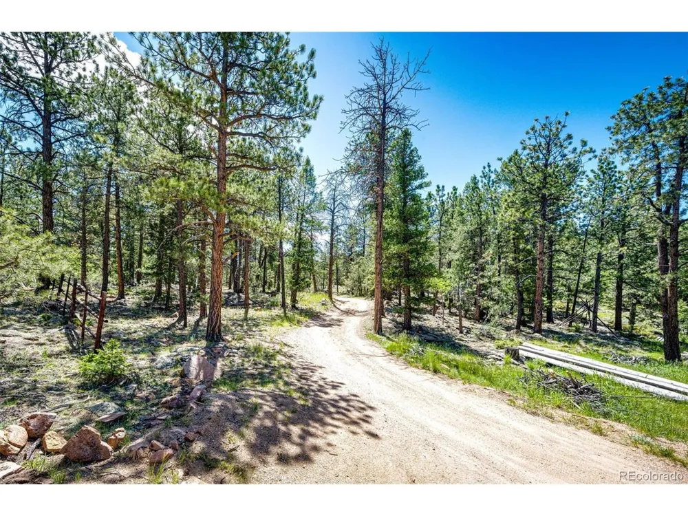 S Wandcrest Drive Pine, CO 80470