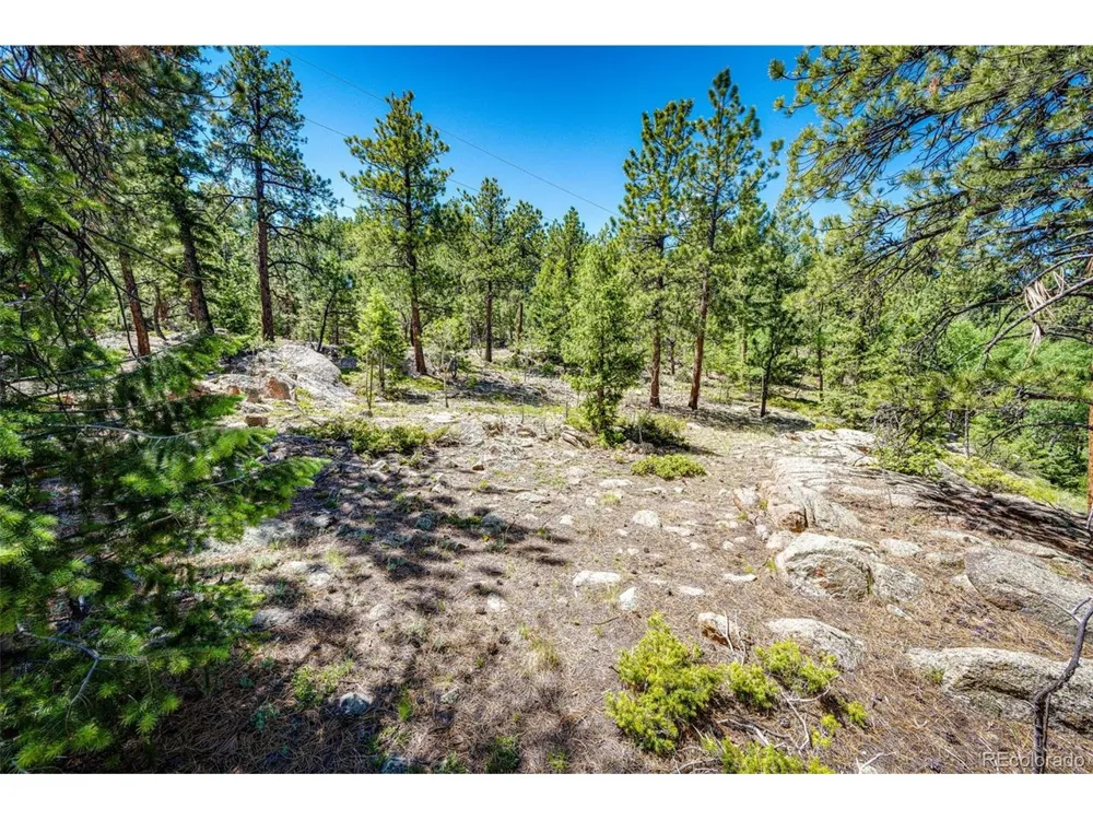 S Wandcrest Drive Pine, CO 80470
