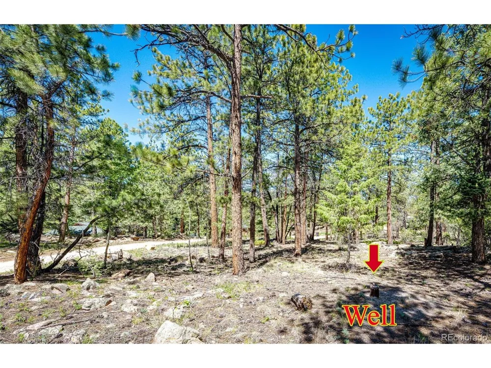 S Wandcrest Drive Pine, CO 80470