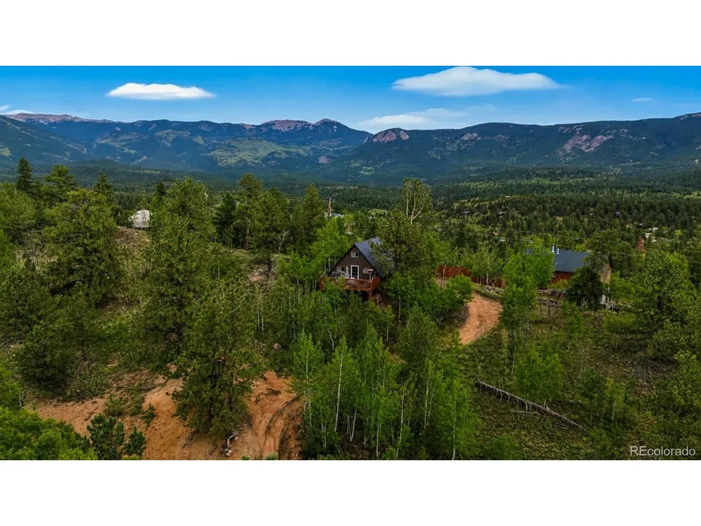 229 Mcdougal Road Bailey, CO 80421