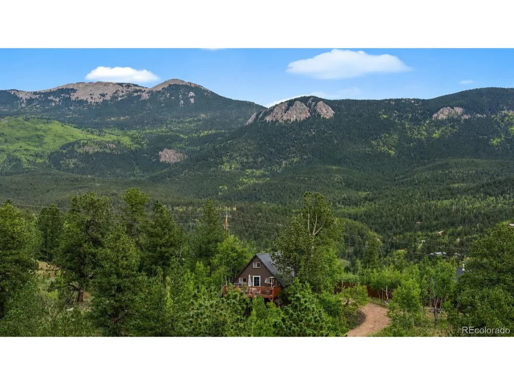229 Mcdougal Road Bailey, CO 80421
