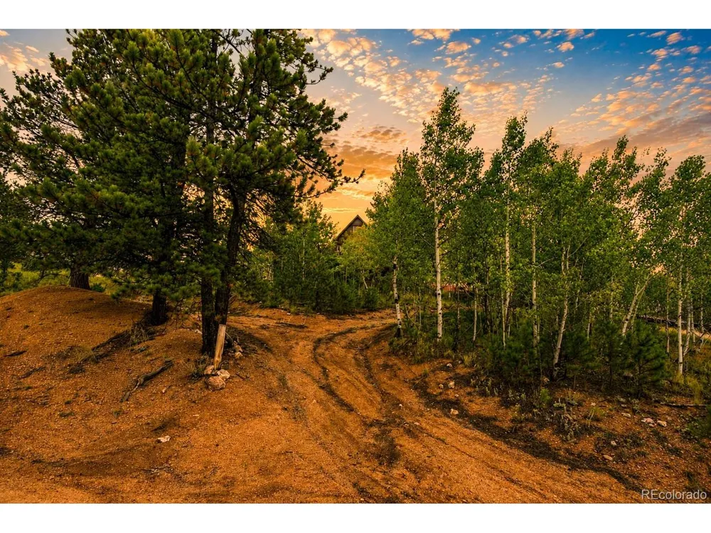 229 Mcdougal Road Bailey, CO 80421