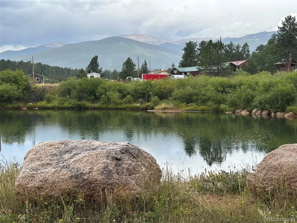 229 Mcdougal Road Bailey, CO 80421