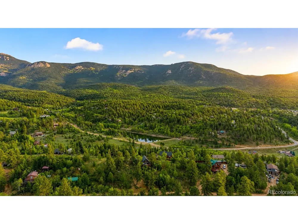 229 Mcdougal Road Bailey, CO 80421