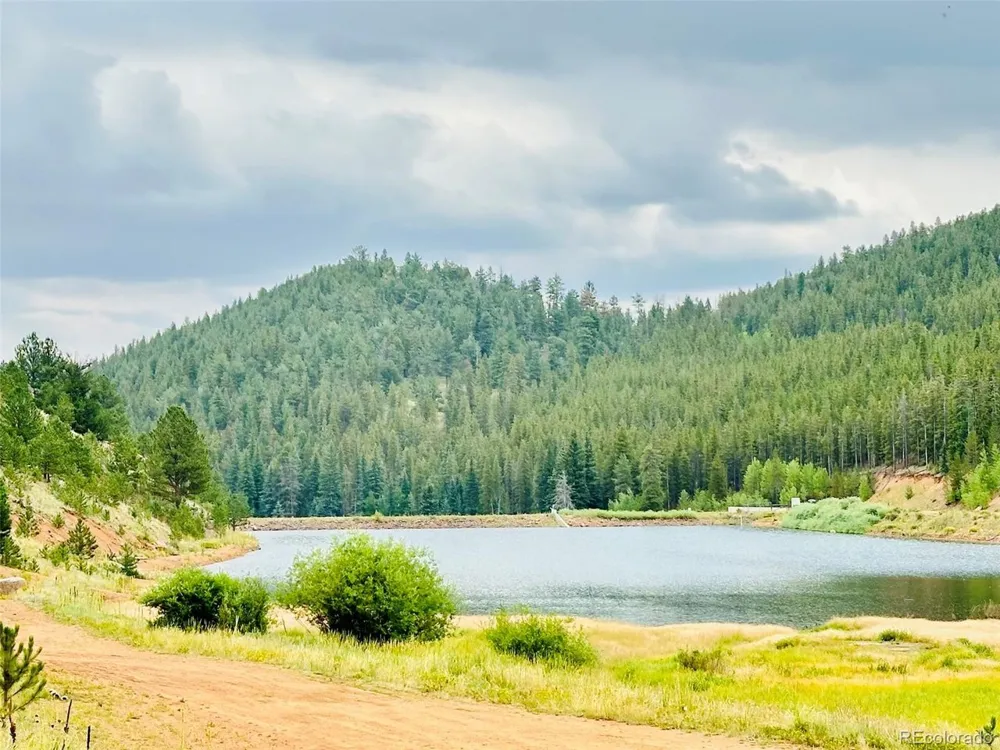 229 Mcdougal Road Bailey, CO 80421