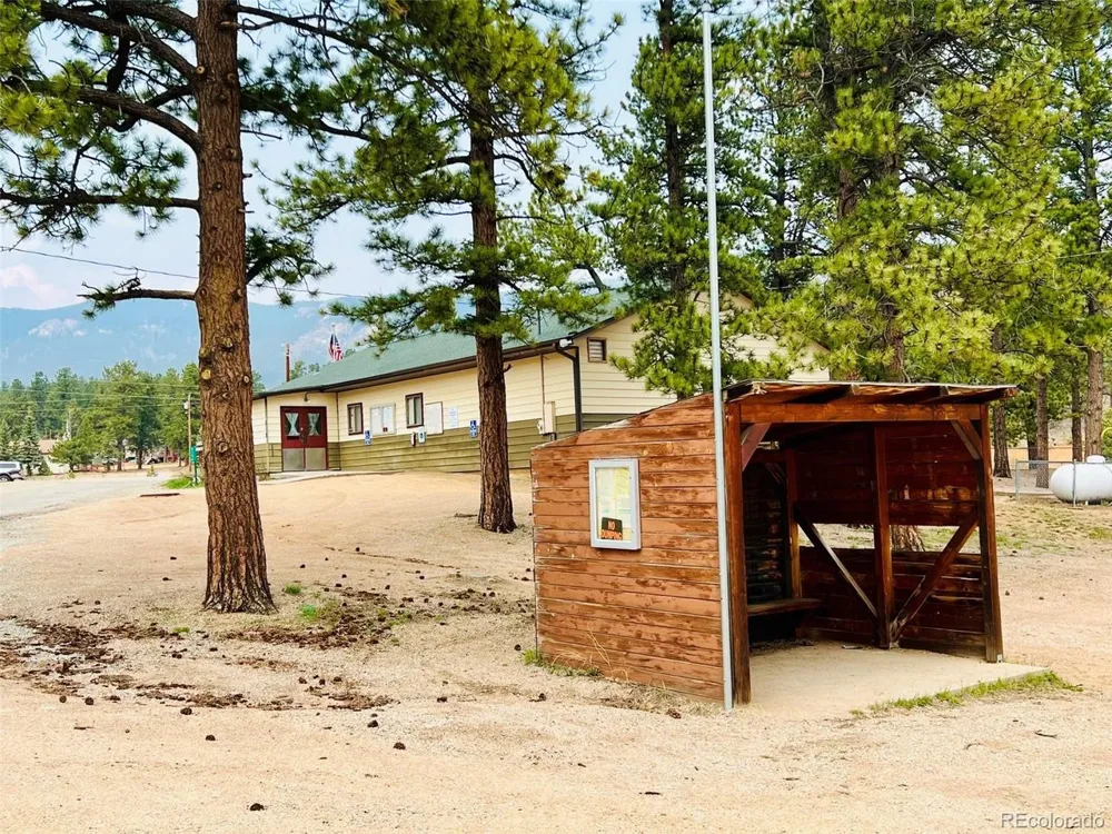 229 Mcdougal Road Bailey, CO 80421