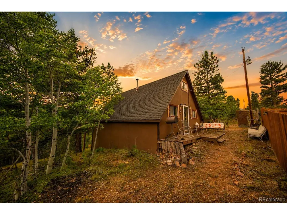 229 Mcdougal Road Bailey, CO 80421