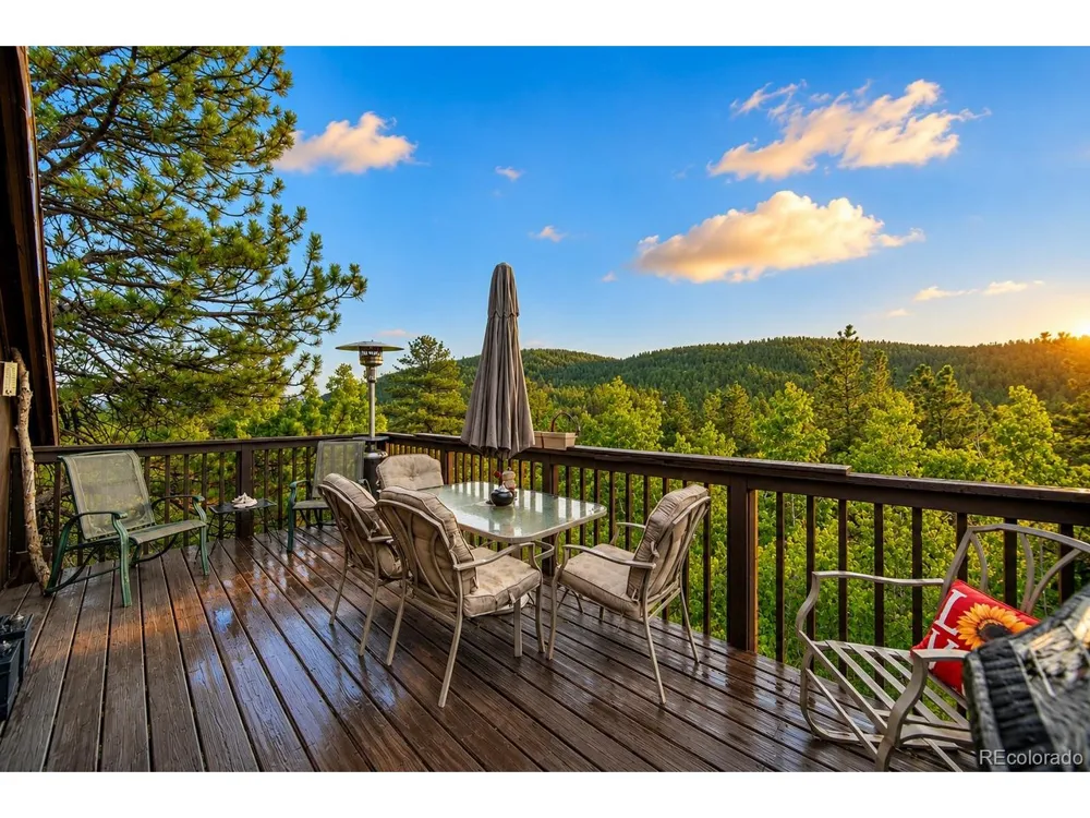 229 Mcdougal Road Bailey, CO 80421