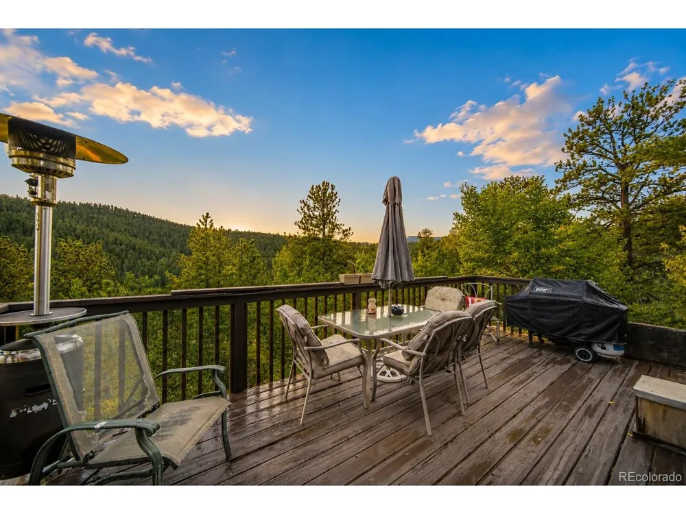 229 Mcdougal Road Bailey, CO 80421
