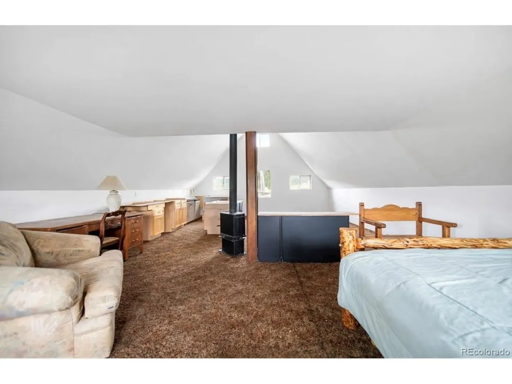 229 Mcdougal Road Bailey, CO 80421