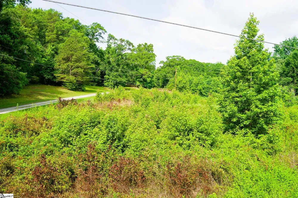 00 Hellams Road Gray Court, SC 29645