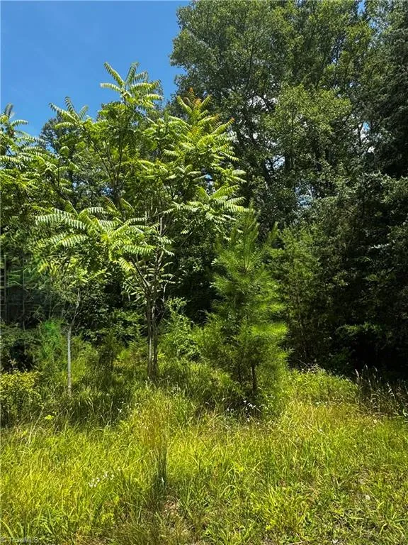 301 Pryor Road Pelham, NC 27311