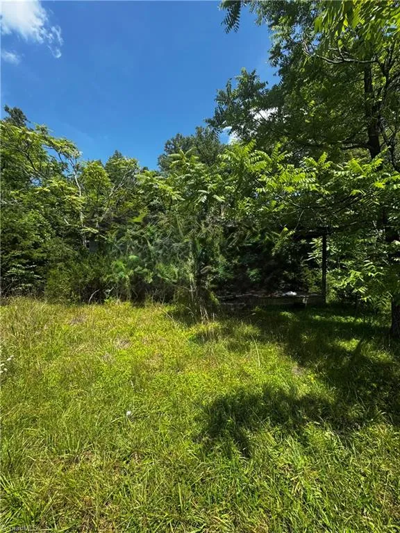 301 Pryor Road Pelham, NC 27311