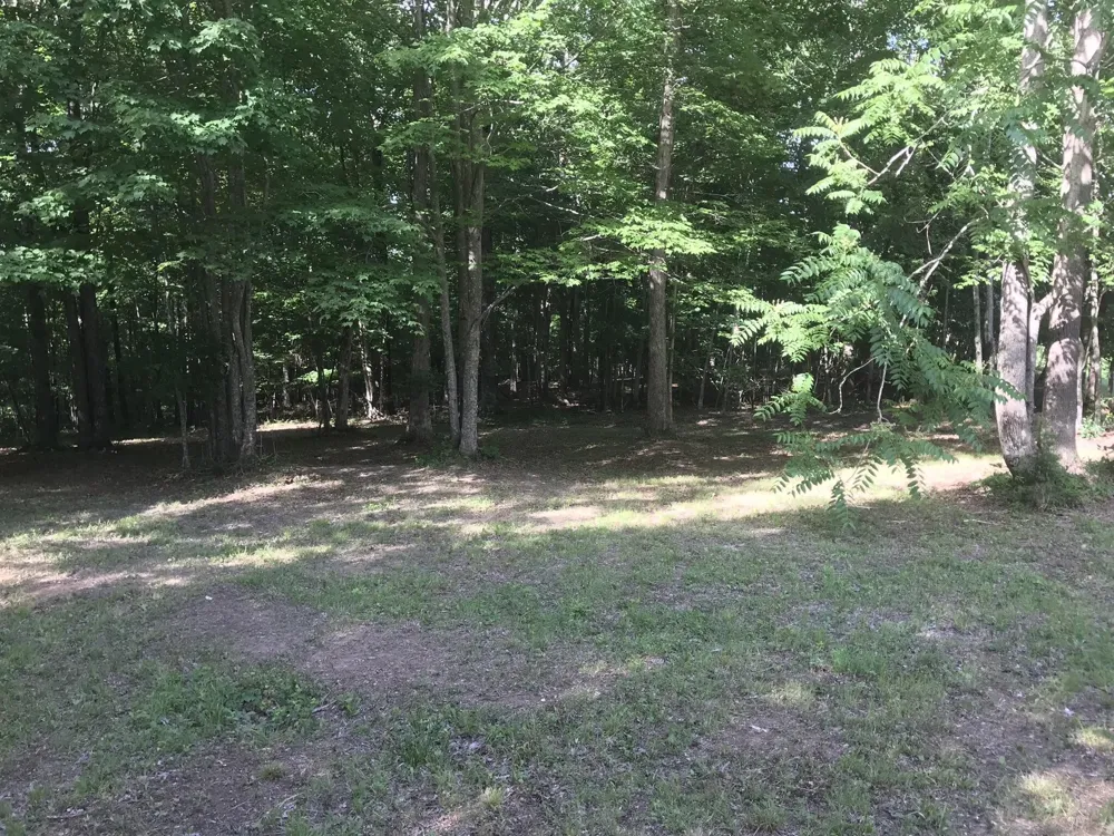 503 Wilderness Way Dunlap, TN 37327