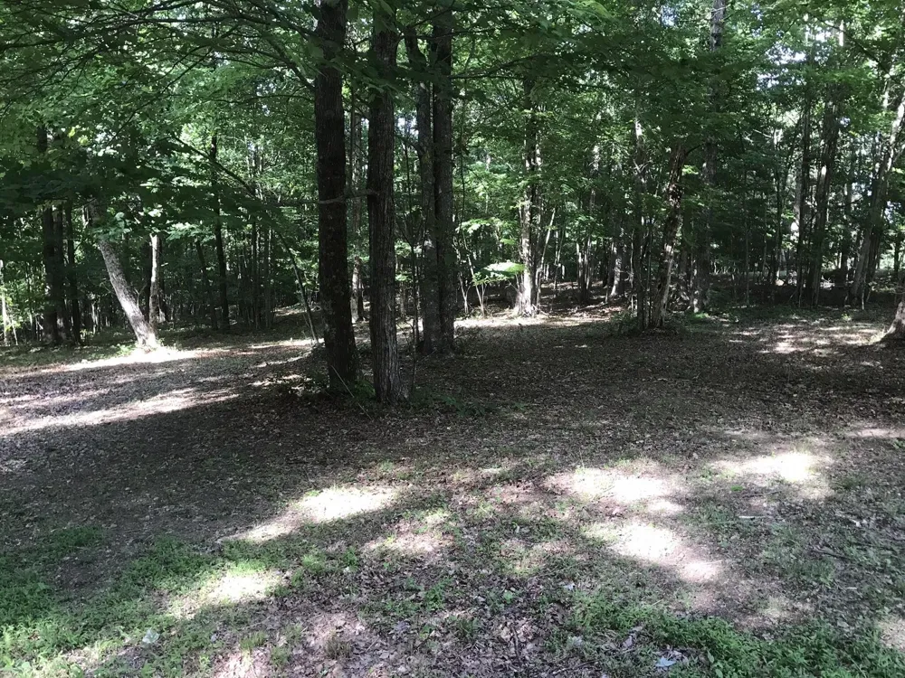 503 Wilderness Way Dunlap, TN 37327