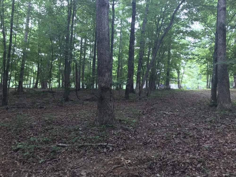 503 Wilderness Way Dunlap, TN 37327
