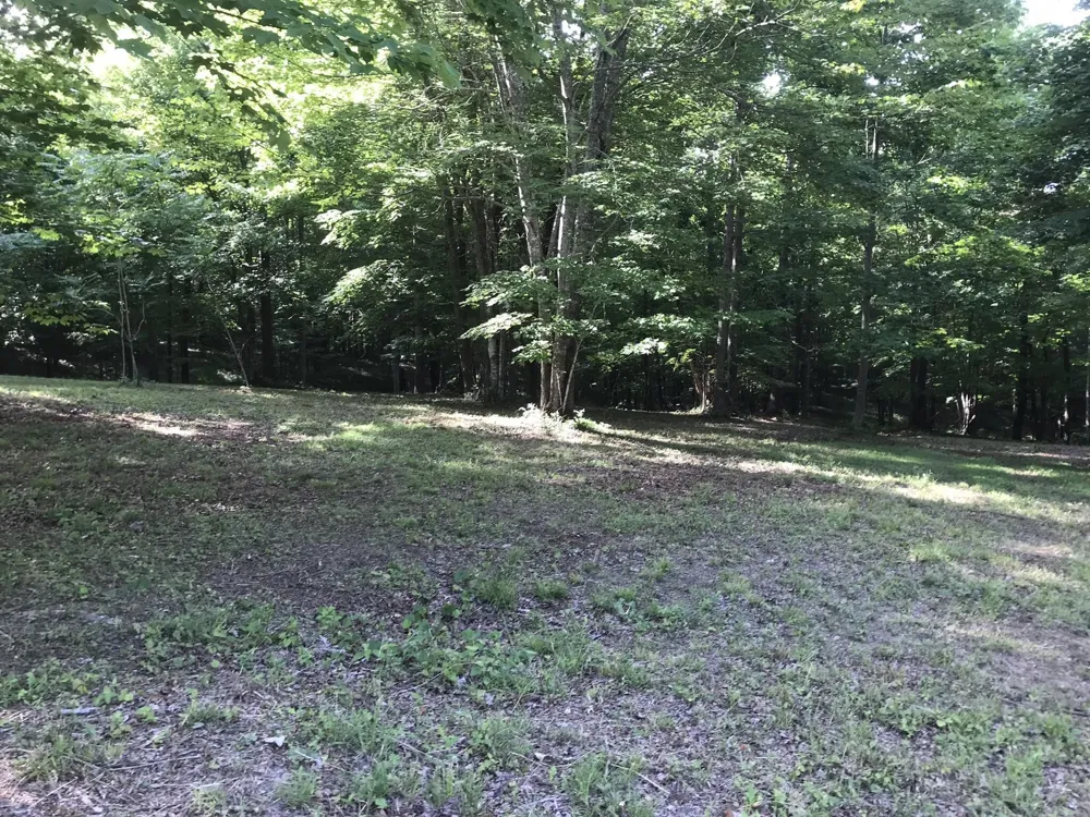 503 Wilderness Way Dunlap, TN 37327