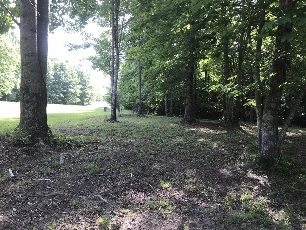 503 Wilderness Way Dunlap, TN 37327