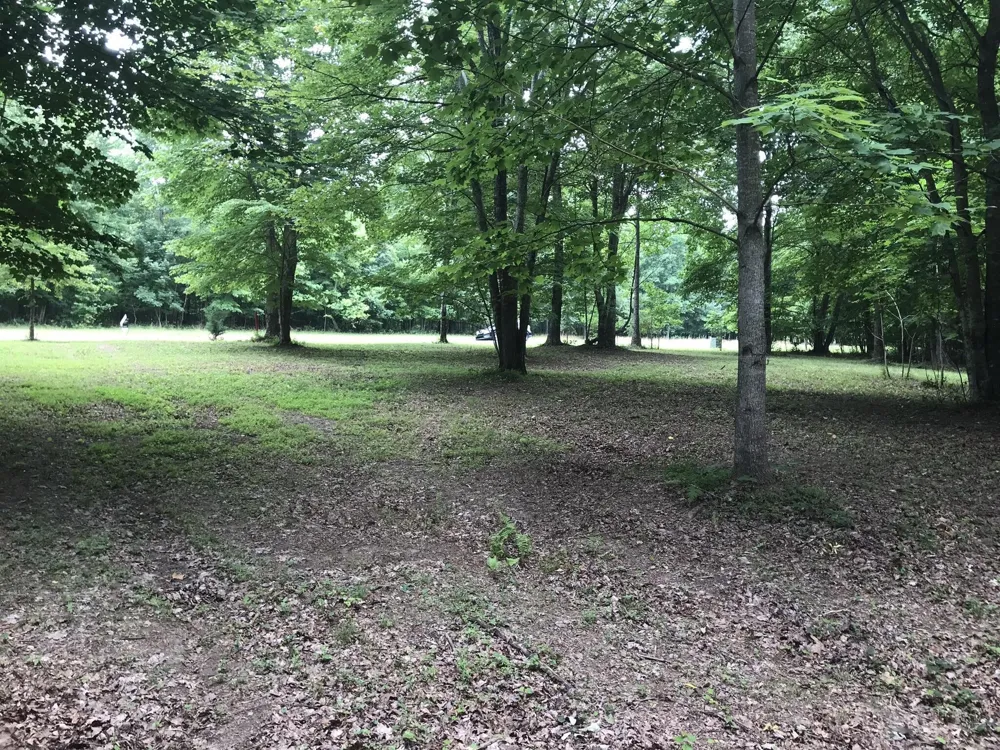 503 Wilderness Way Dunlap, TN 37327