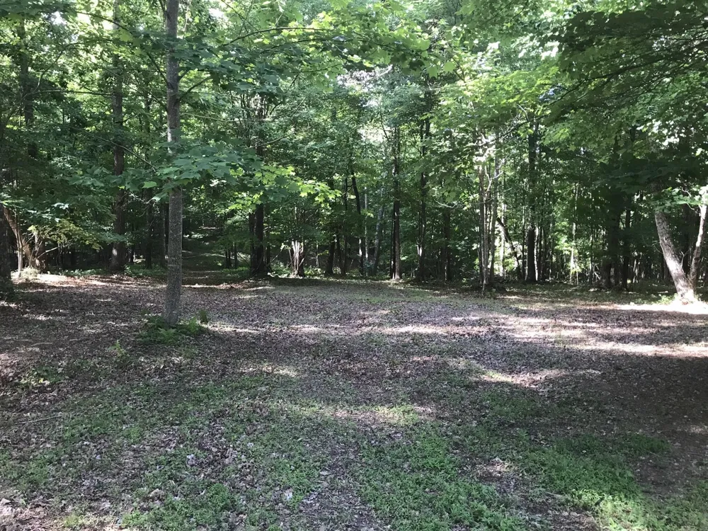 503 Wilderness Way Dunlap, TN 37327