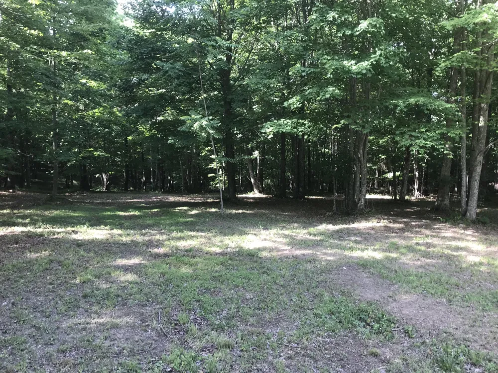 503 Wilderness Way Dunlap, TN 37327