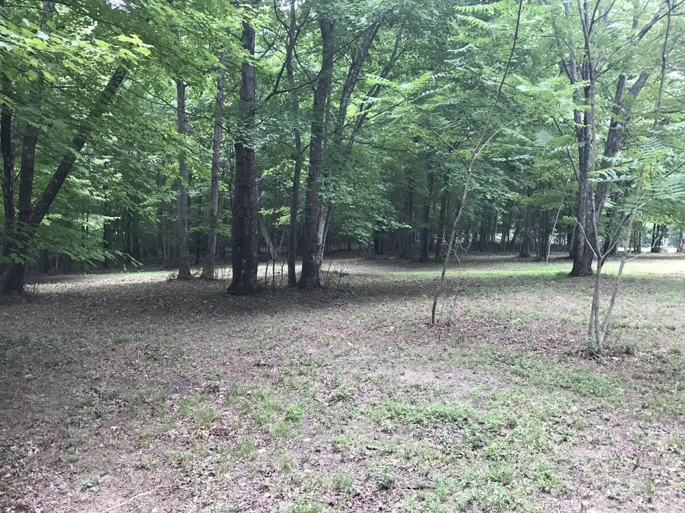 503 Wilderness Way Dunlap, TN 37327