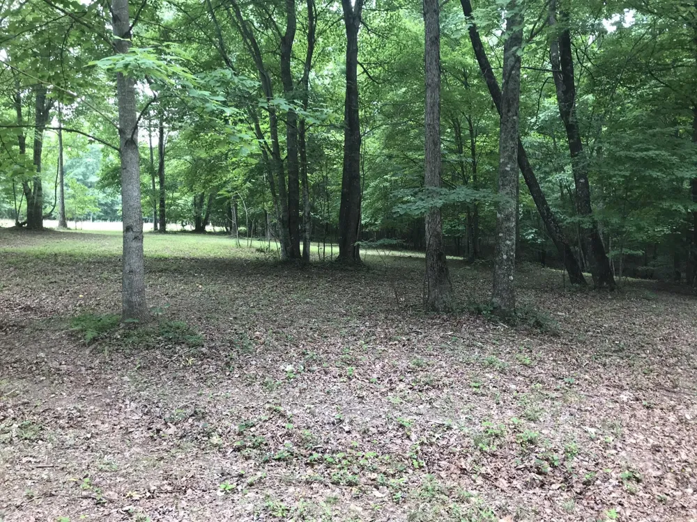 503 Wilderness Way Dunlap, TN 37327