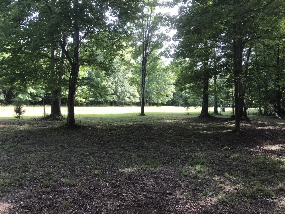 503 Wilderness Way Dunlap, TN 37327