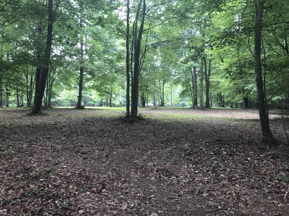 503 Wilderness Way Dunlap, TN 37327